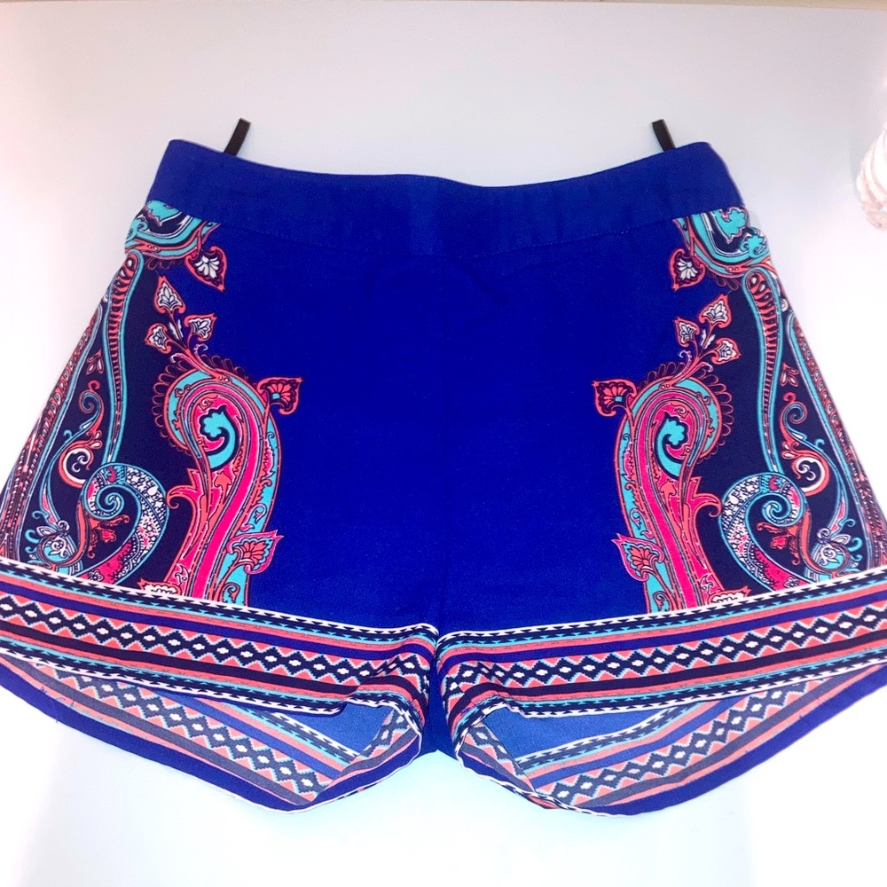 Cute Dressy Shorts